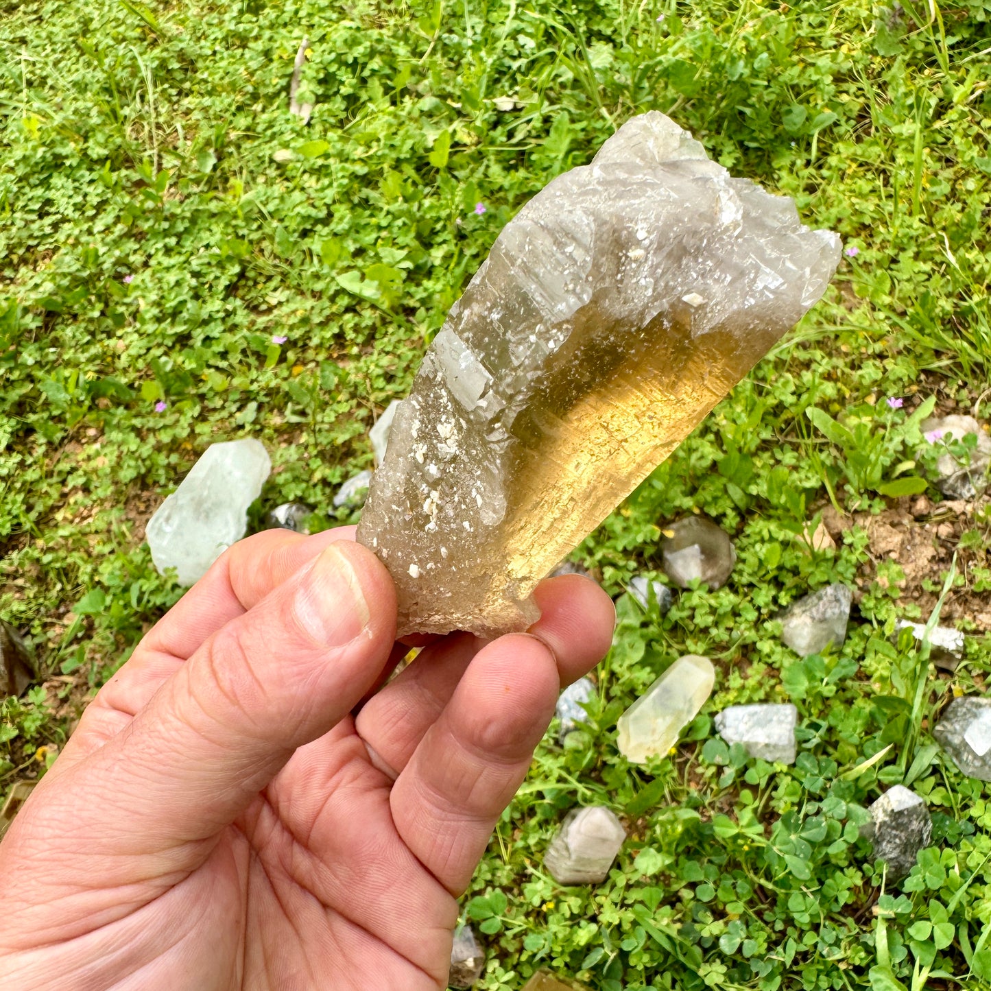Self Healing Master Natural Citrine