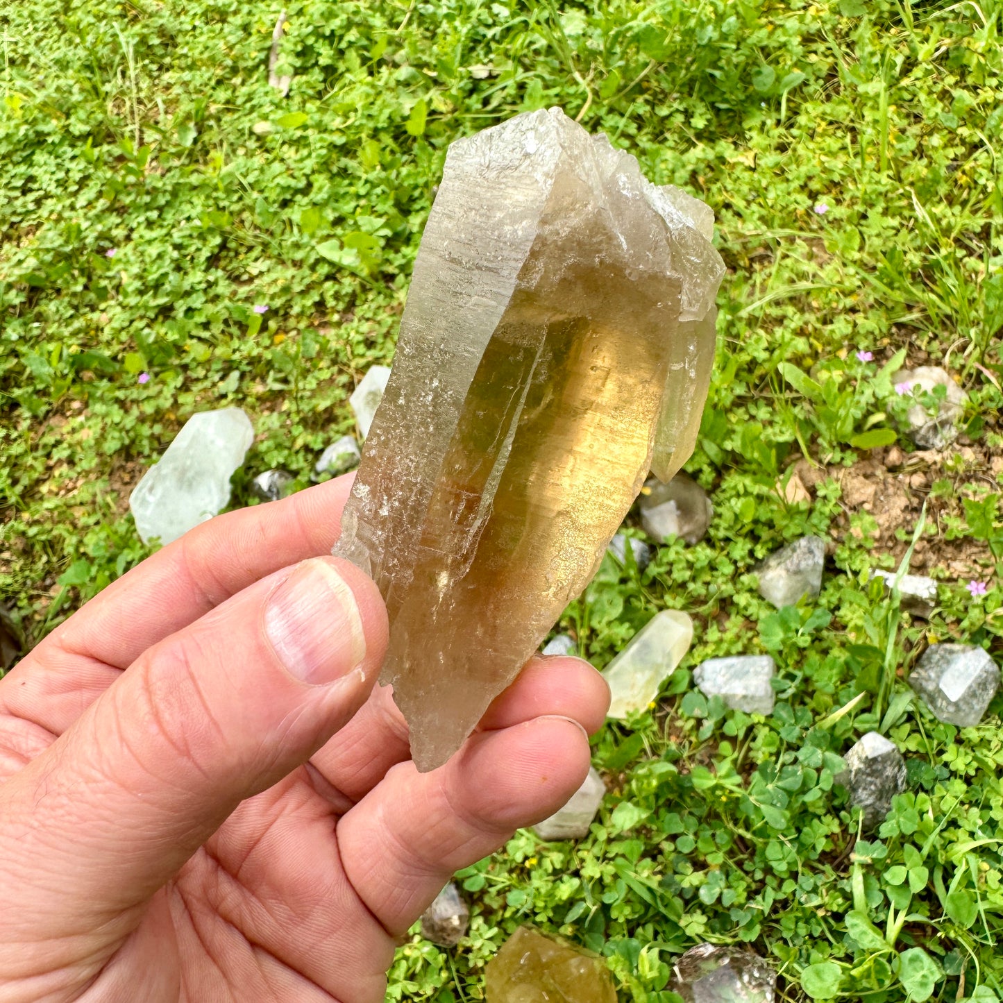 Self Healing Master Natural Citrine
