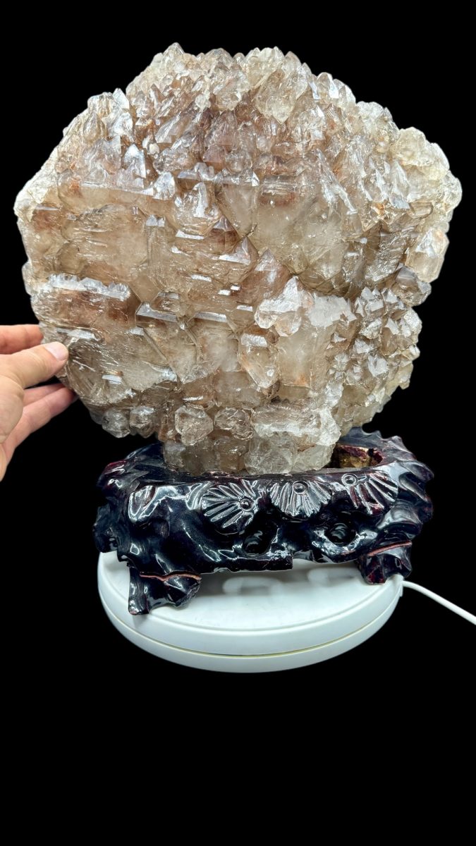 Yacare Elestial Master Quartz 13.5 kg.