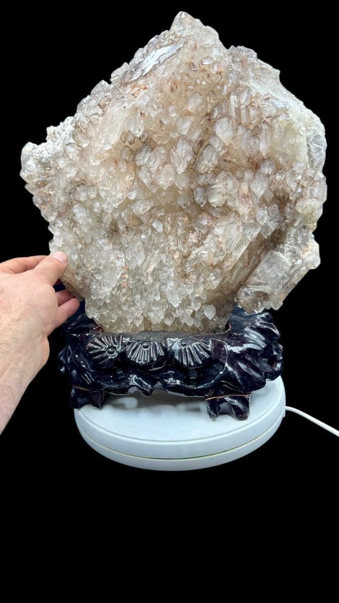 Yacare Elestial Master Quartz 13.5 kg.