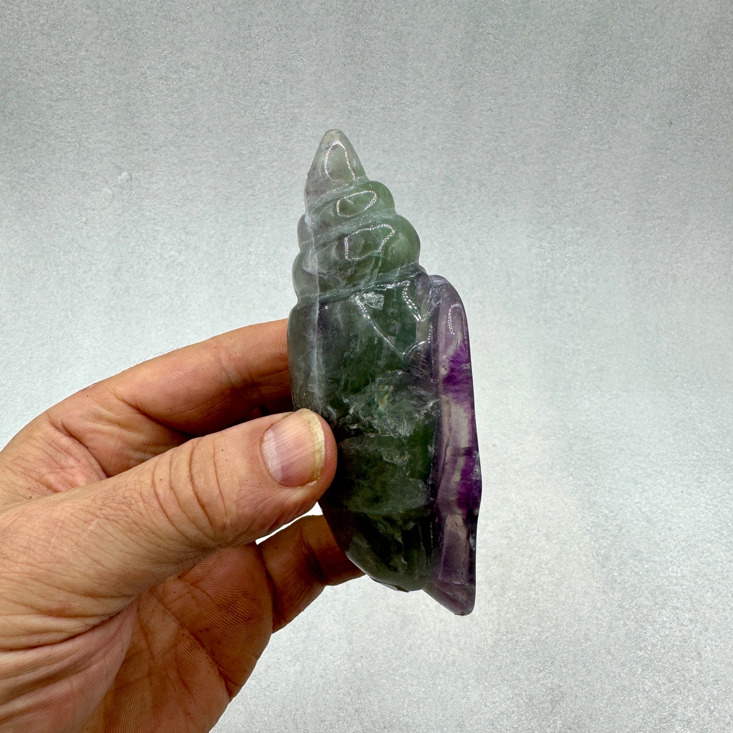 Caracola de fluorita