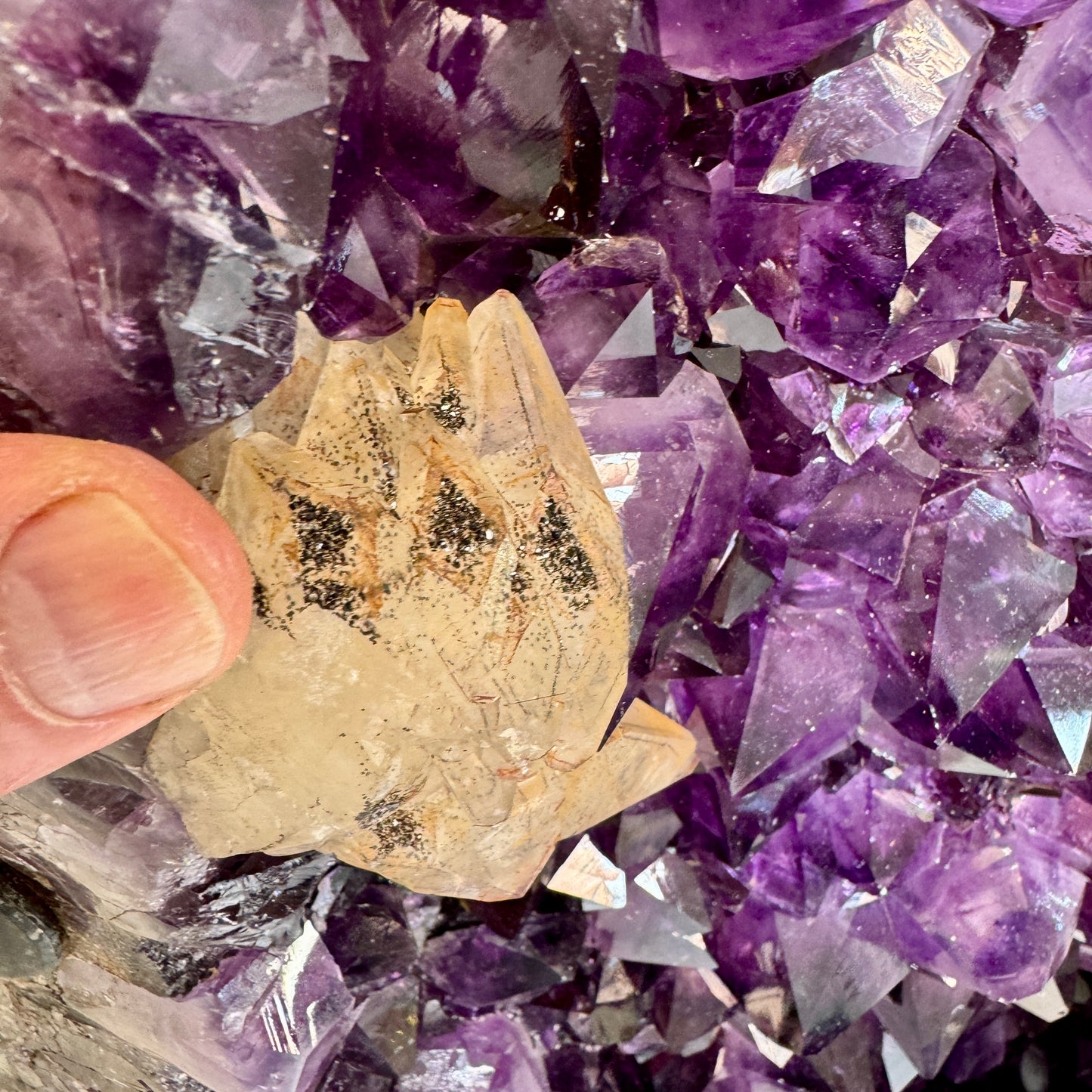 Complete amethyst geode, 2 pieces, 74 kg. Premium quality from Uruguay.
