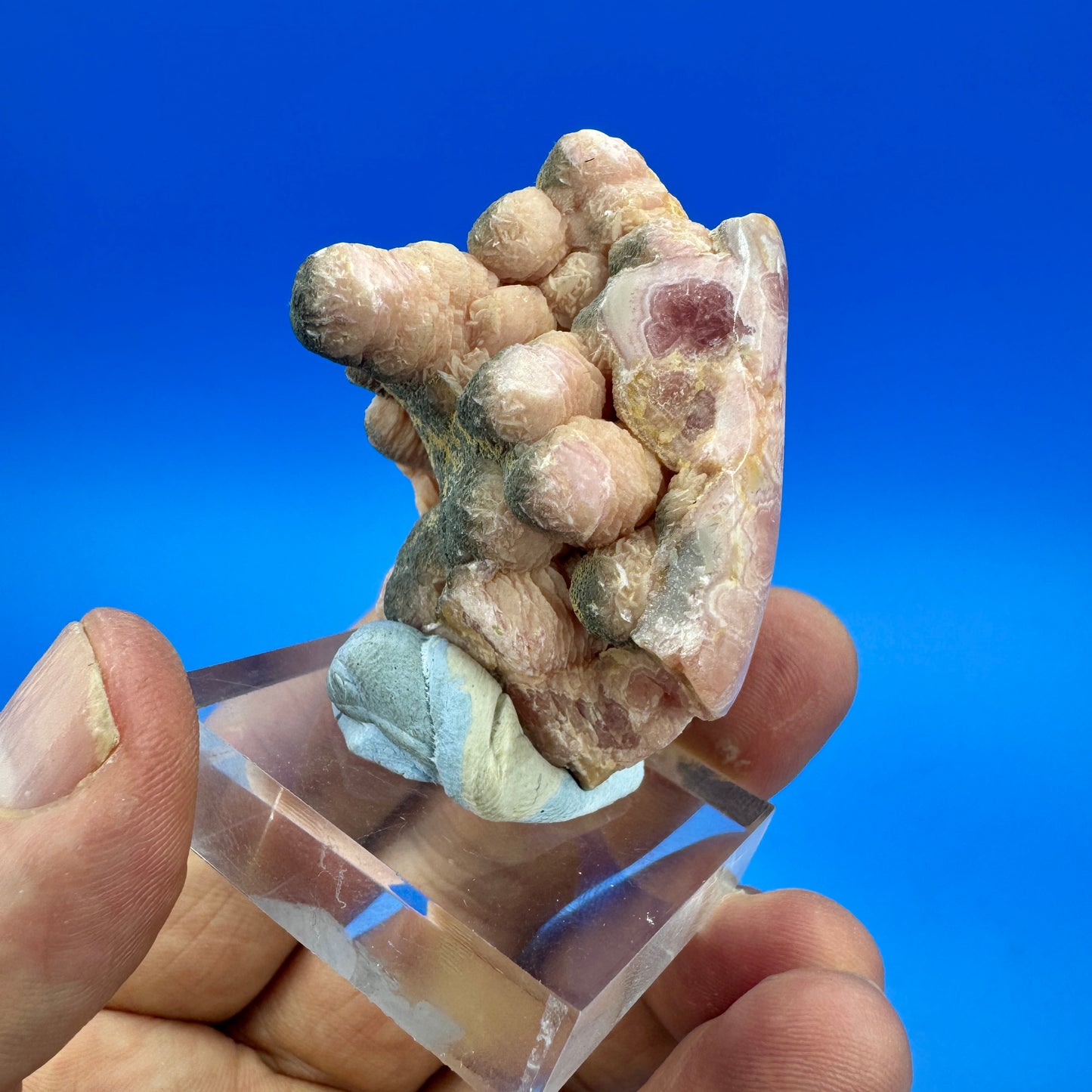 Argentine rhodochrosite