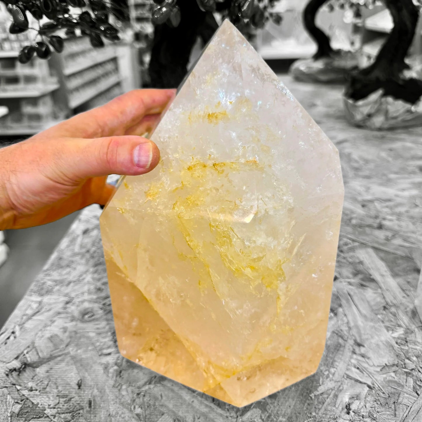 Cuarzo punta generadora de 14,3 kg. - MUNAY MINERALES MALLORCA