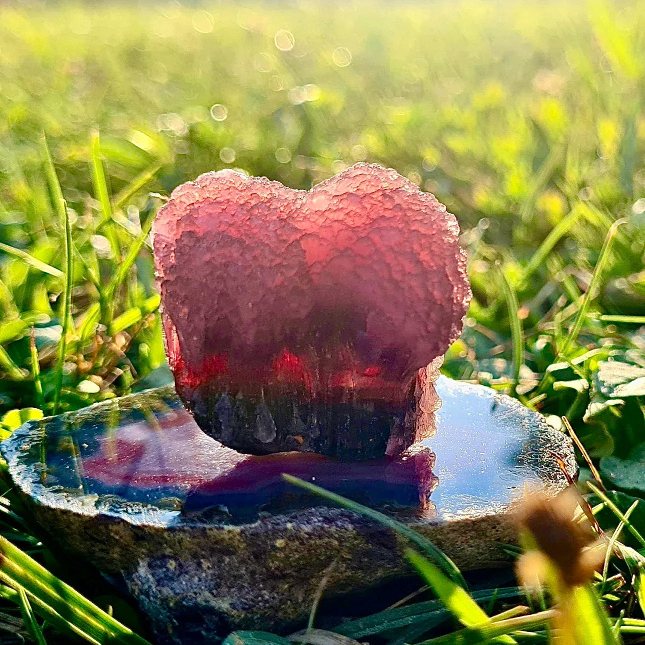 Turmalina rubelita hongo seta Myanmar - MUNAY MINERALES MALLORCA