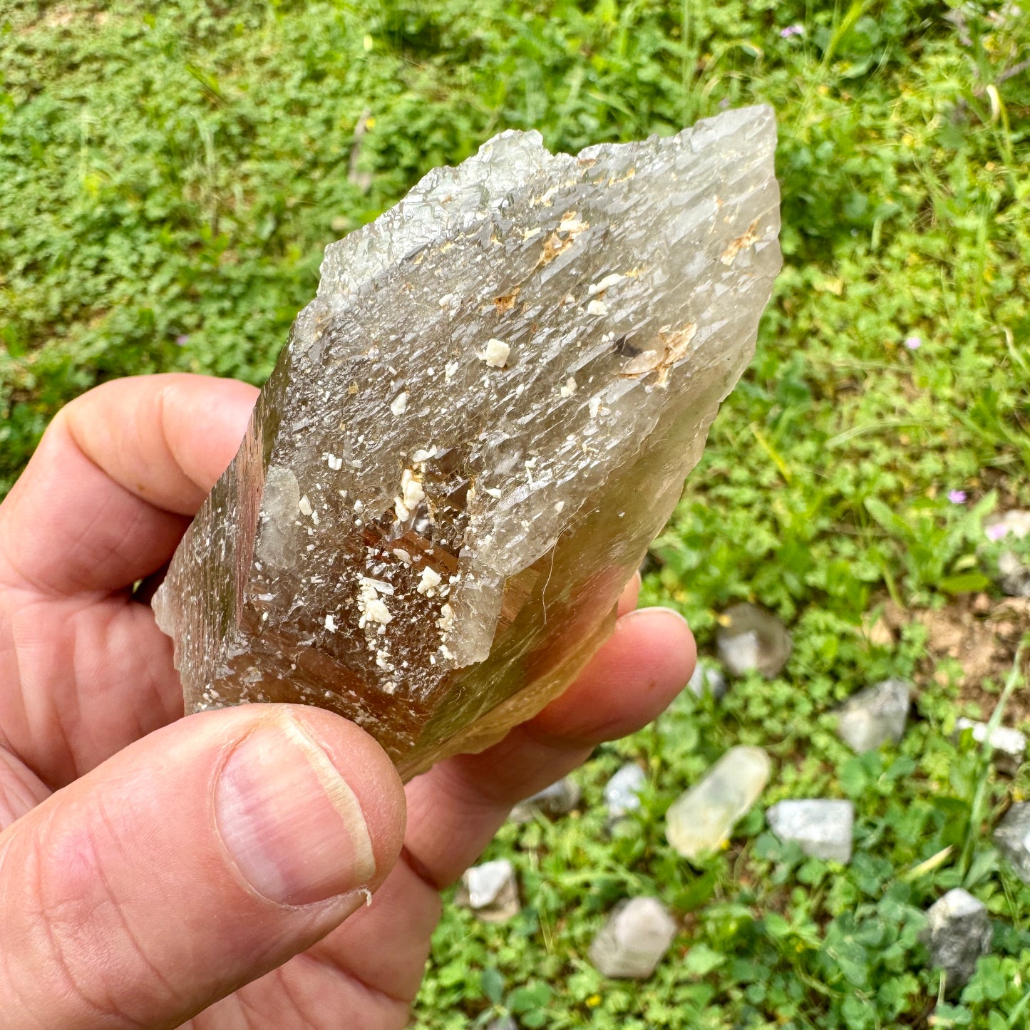 Self Healing Master Natural Citrine