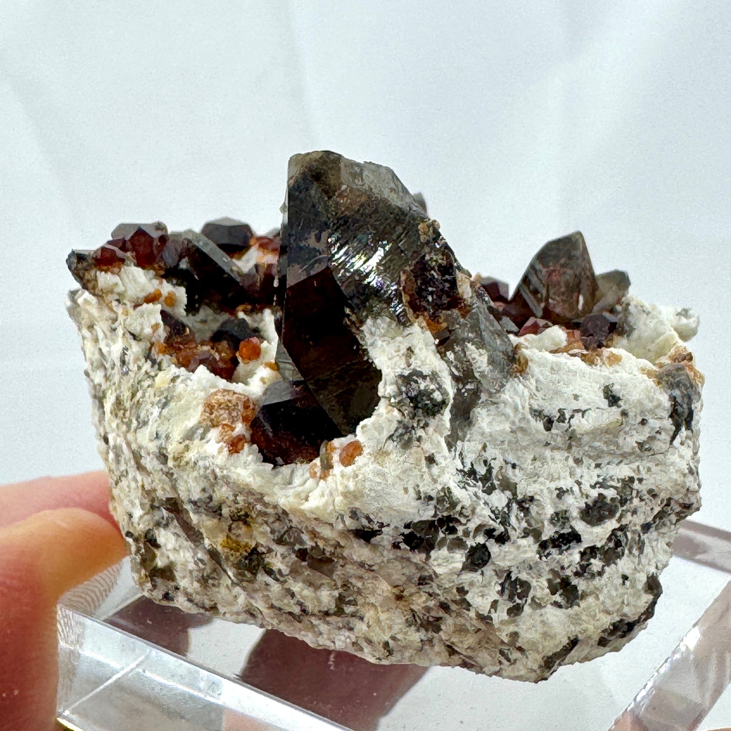 Garnets and smoky quartz on matrix