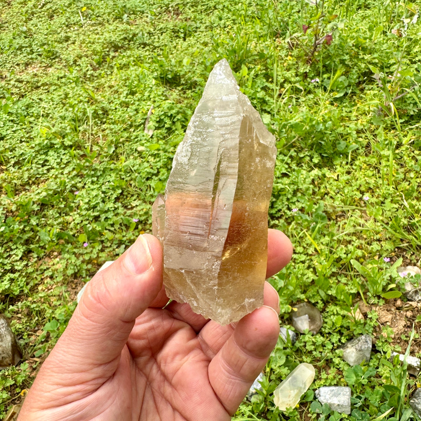 Self Healing Master Natural Citrine