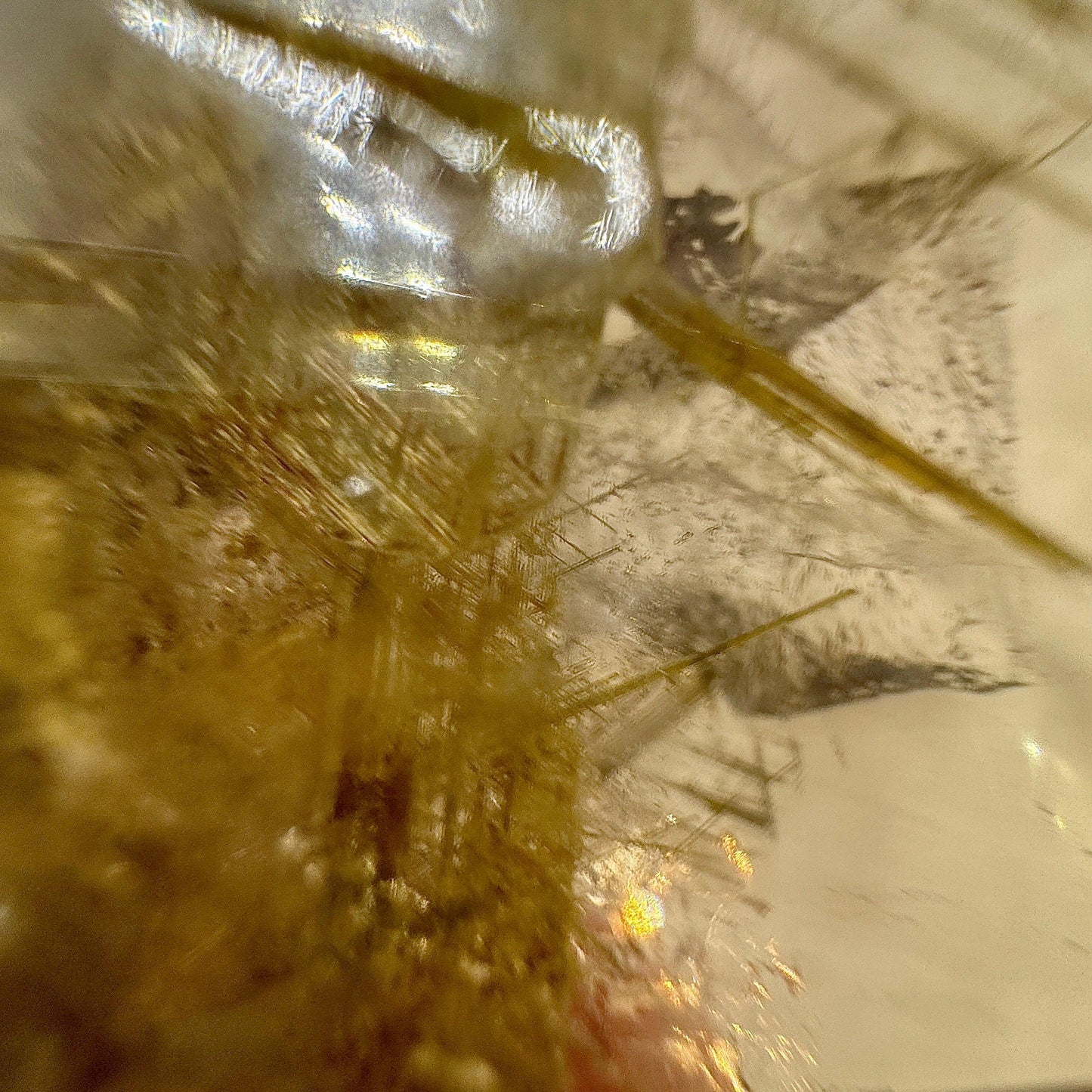 Cuarzo con rutilo sagenita y mica - Munay Minerales Palma de Mallorca Spain