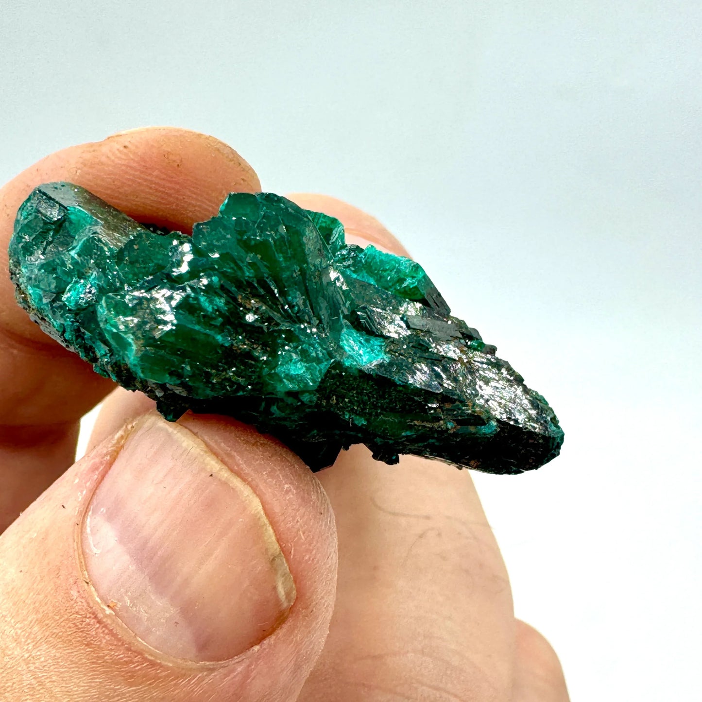 Dioptasa Munay Minerales Mallorca - MUNAY MINERALES MALLORCA