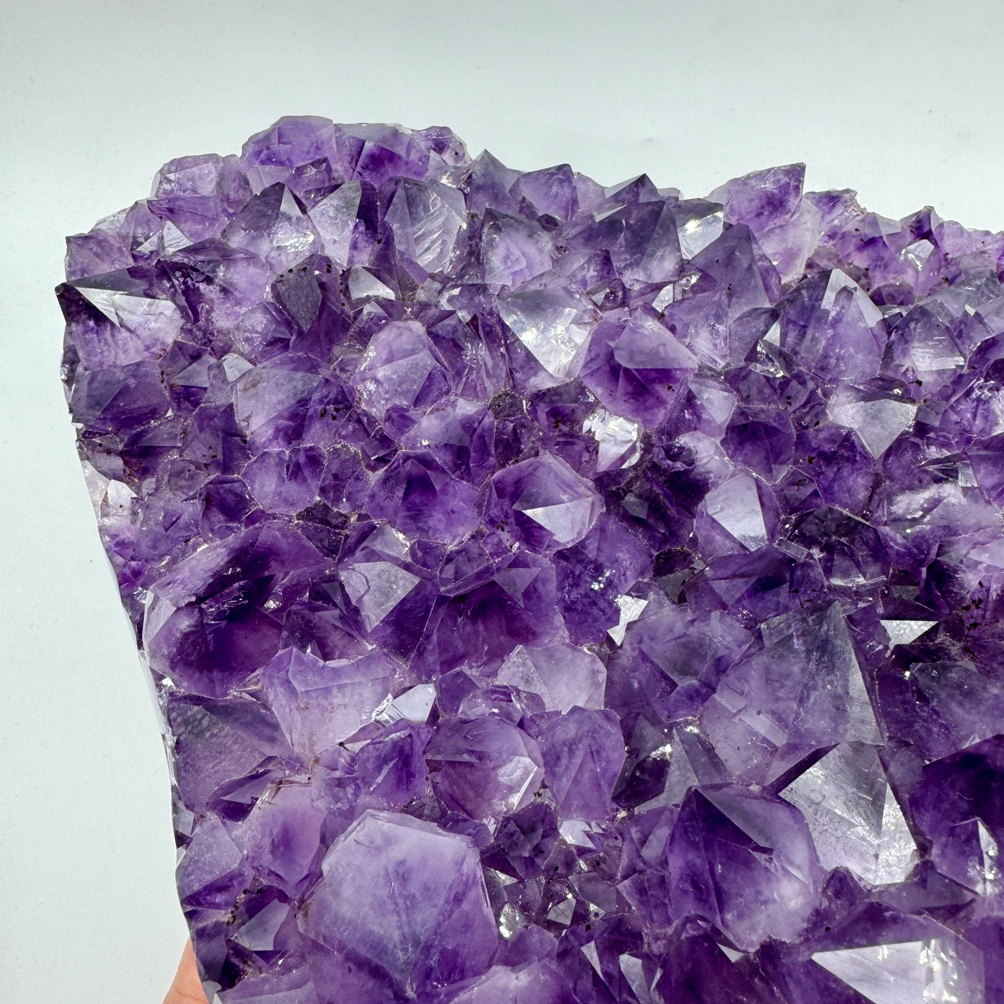 Amethyst druse, 14 kg. Munay Minerals, Mallorca