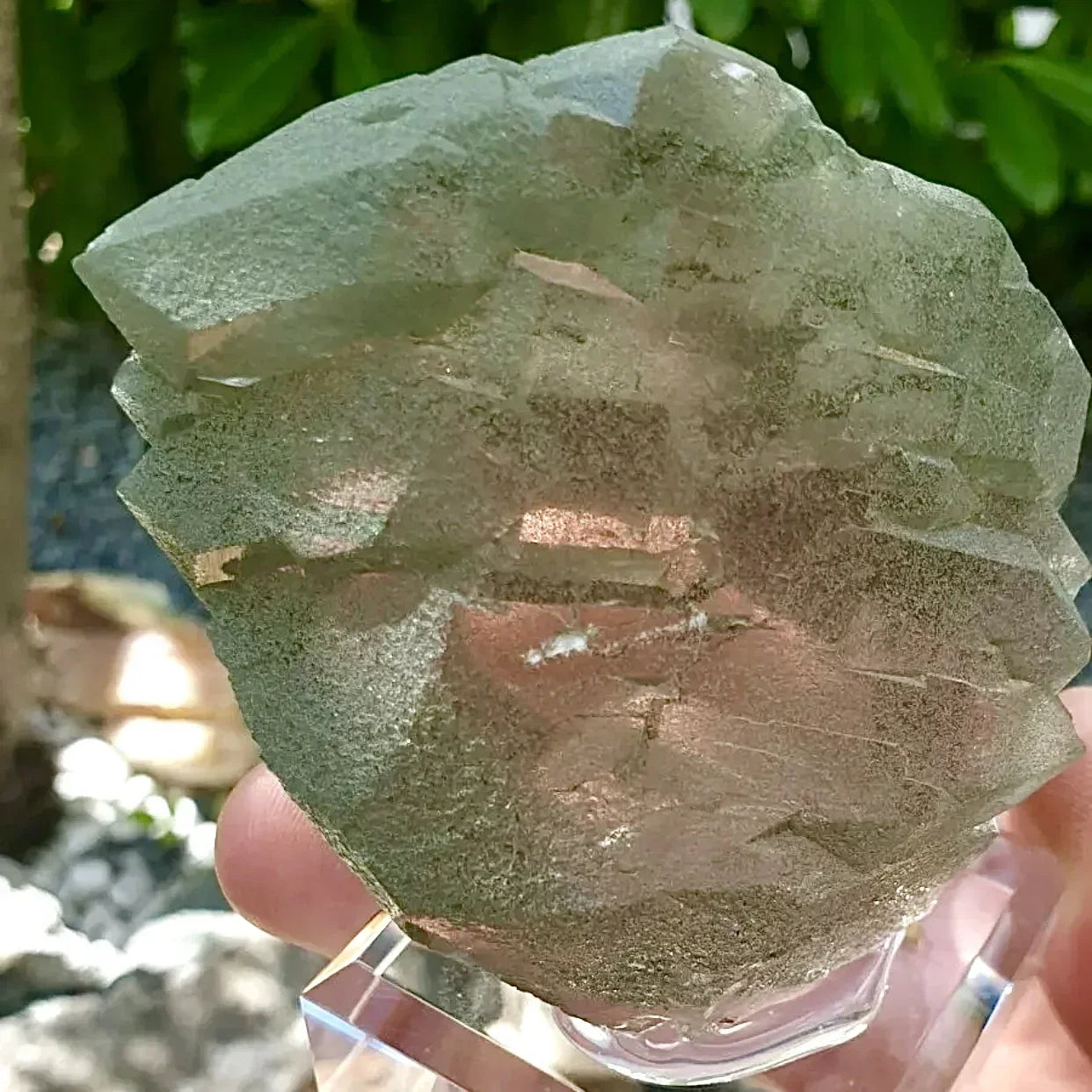 Cuarzo gwindel con clorita MontBlanc Francia - MUNAY MINERALES MALLORCA
