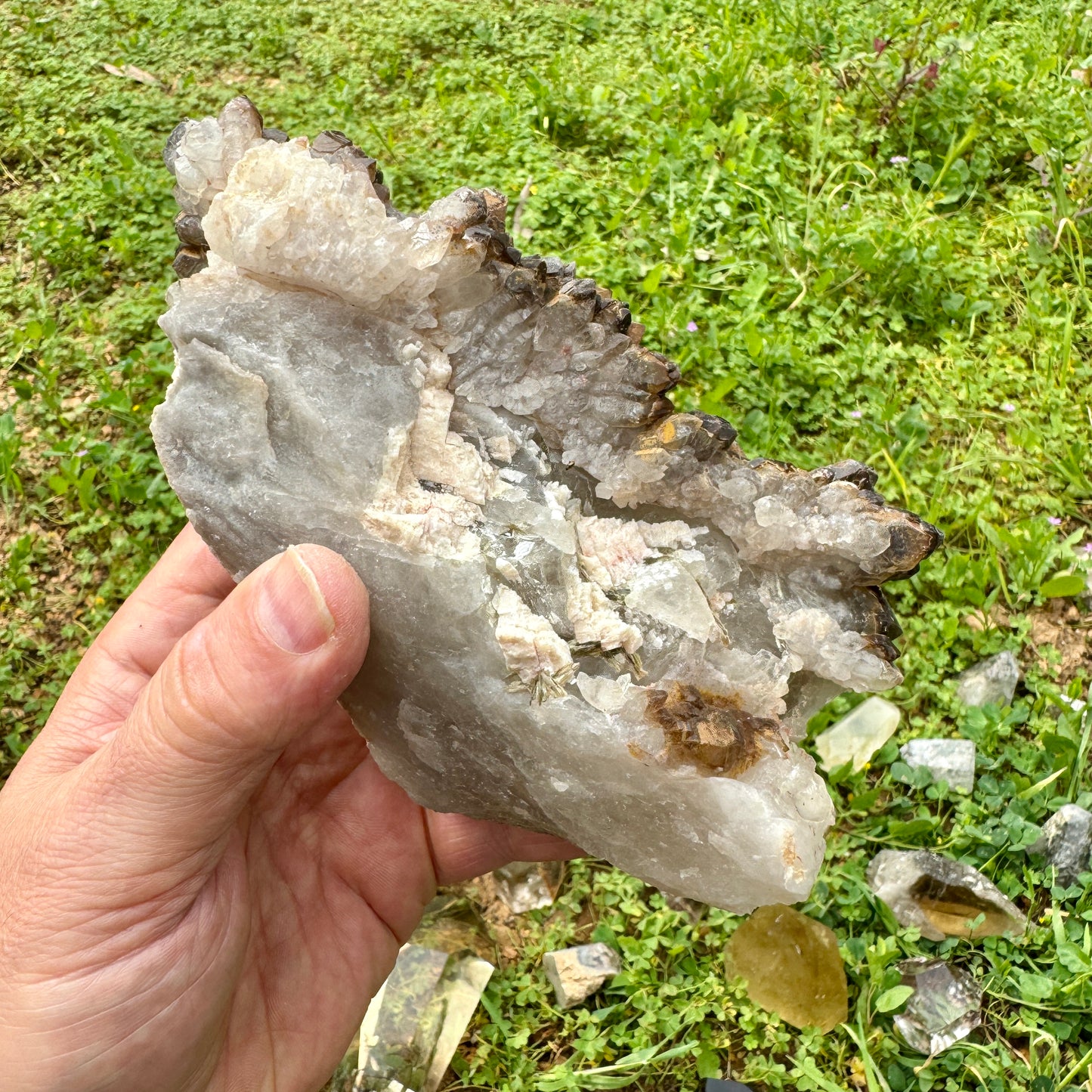 Elestial Master Quartz Skeletal Alligator