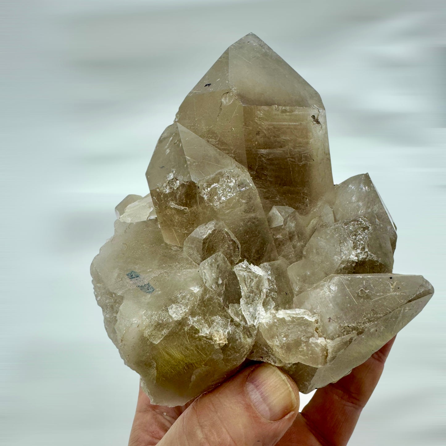 Cuarzo rutilado grupo 1,9 kg. Munay Minerales Mallorca