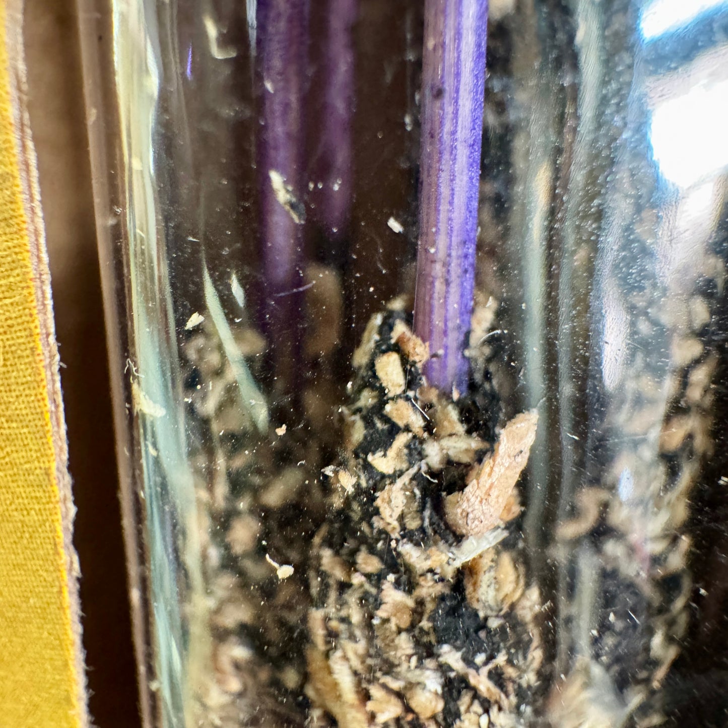 Incienso orgánico de vainilla 25 g.