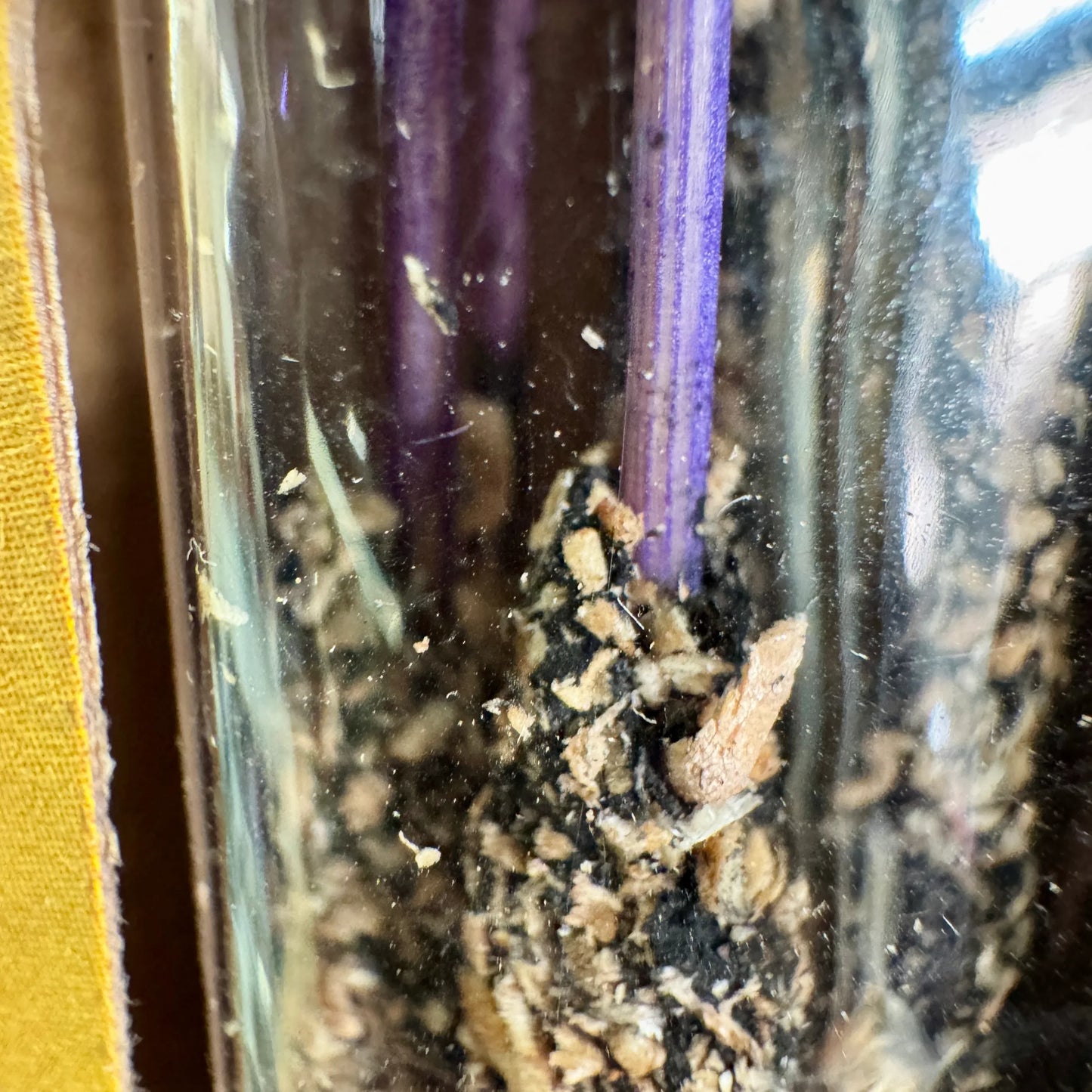 Incienso orgánico de vainilla 25 g. - MUNAY MINERALES MALLORCA