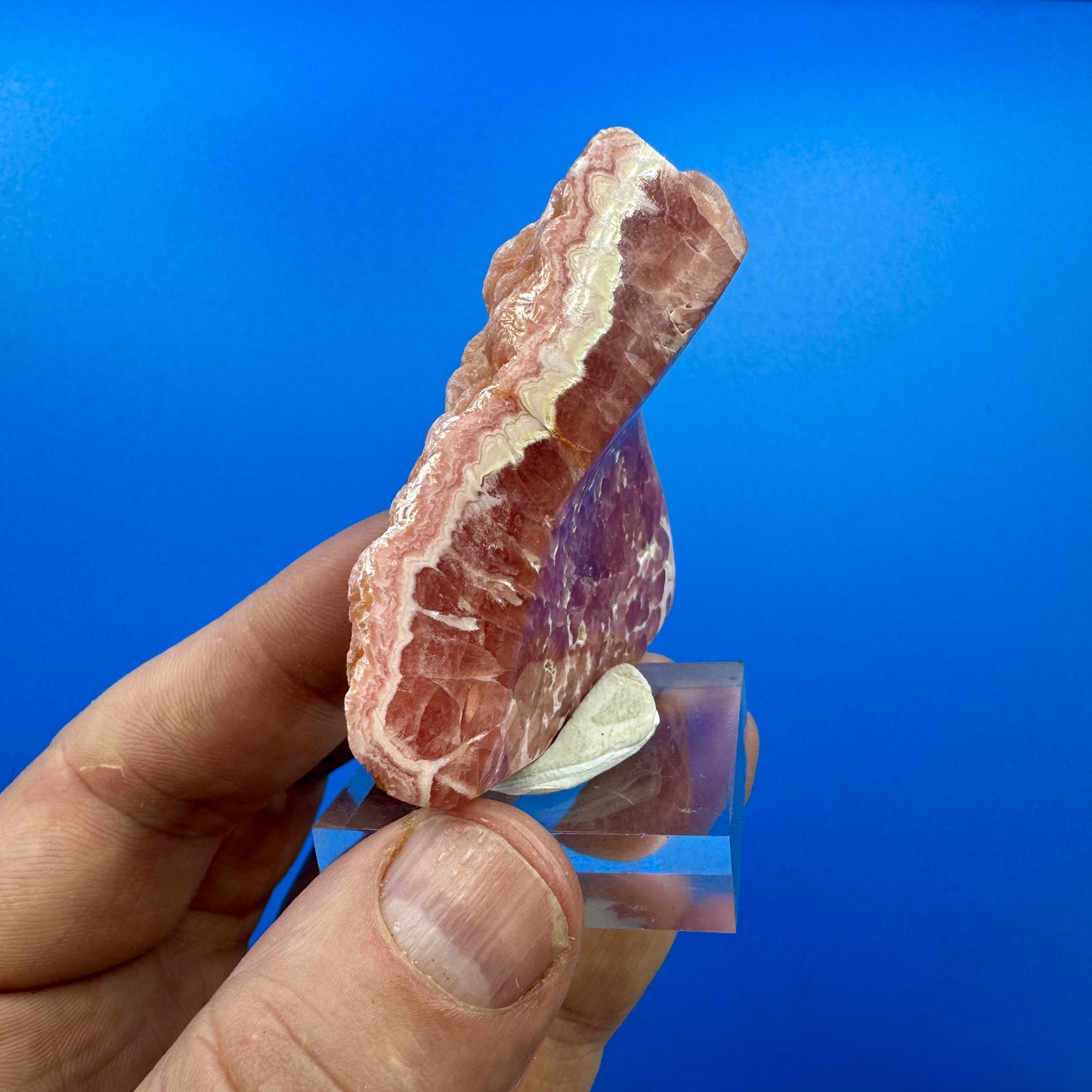 Argentine rhodochrosite