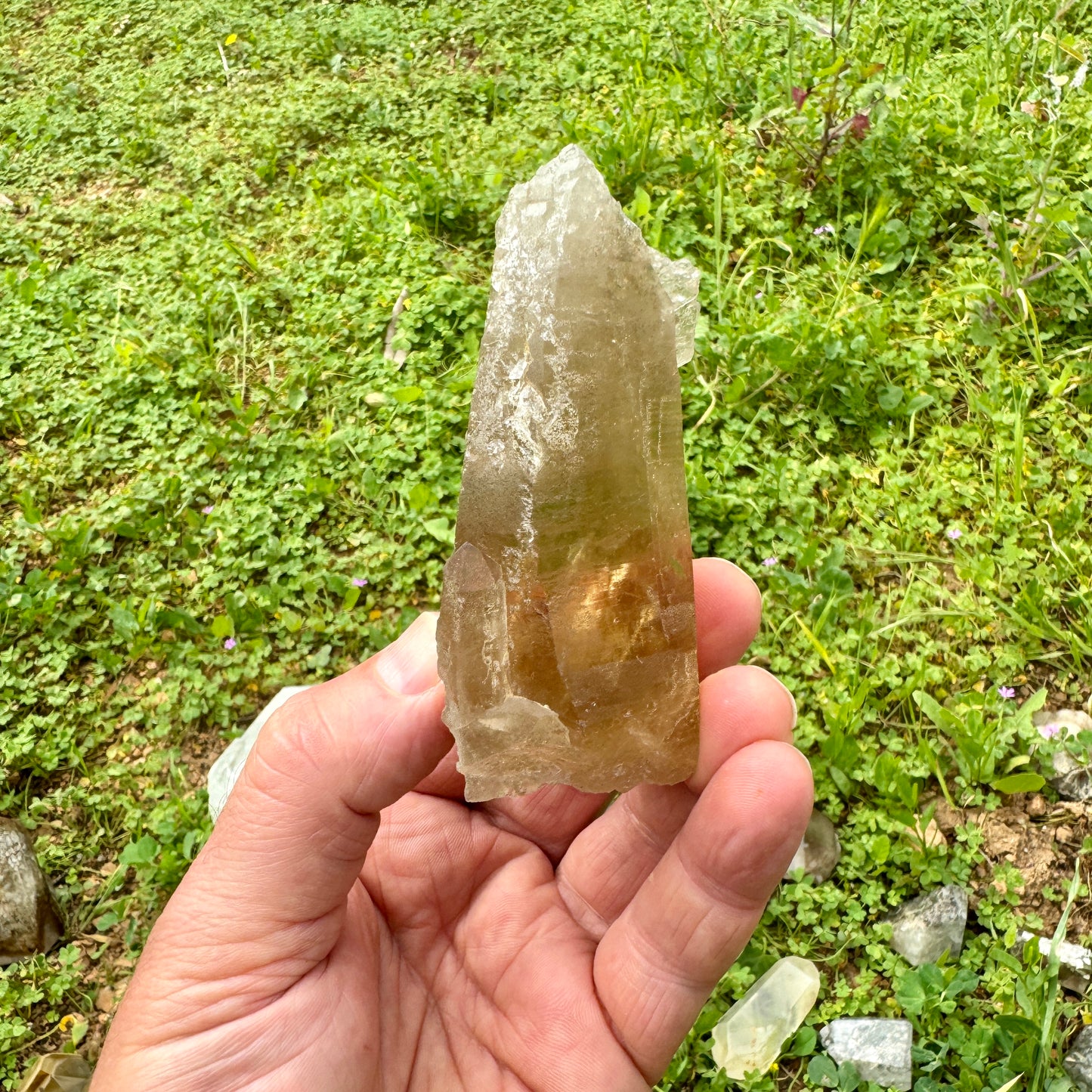 Self Healing Master Natural Citrine