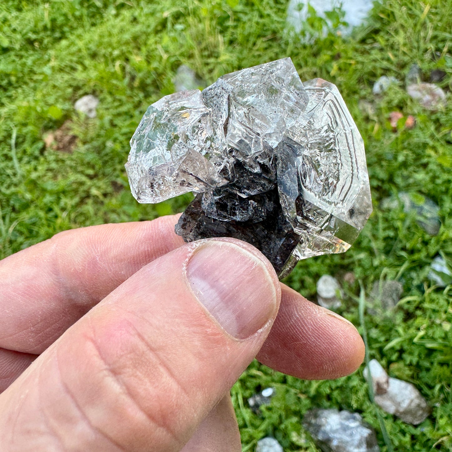 Herkimer Diamond Quartz Scepter