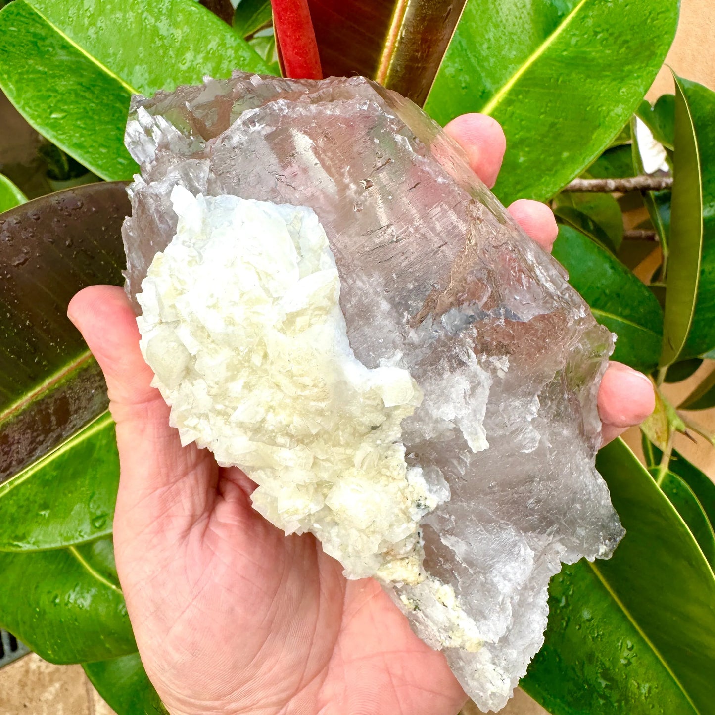 Cuarzo Himalaya con elbaita - MUNAY MINERALES MALLORCA