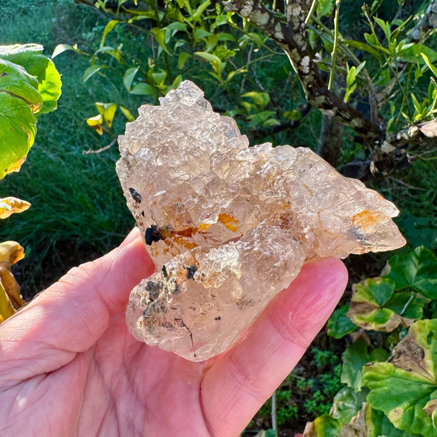 Cuarzo Himalaya Pakistán - MUNAY MINERALES MALLORCA