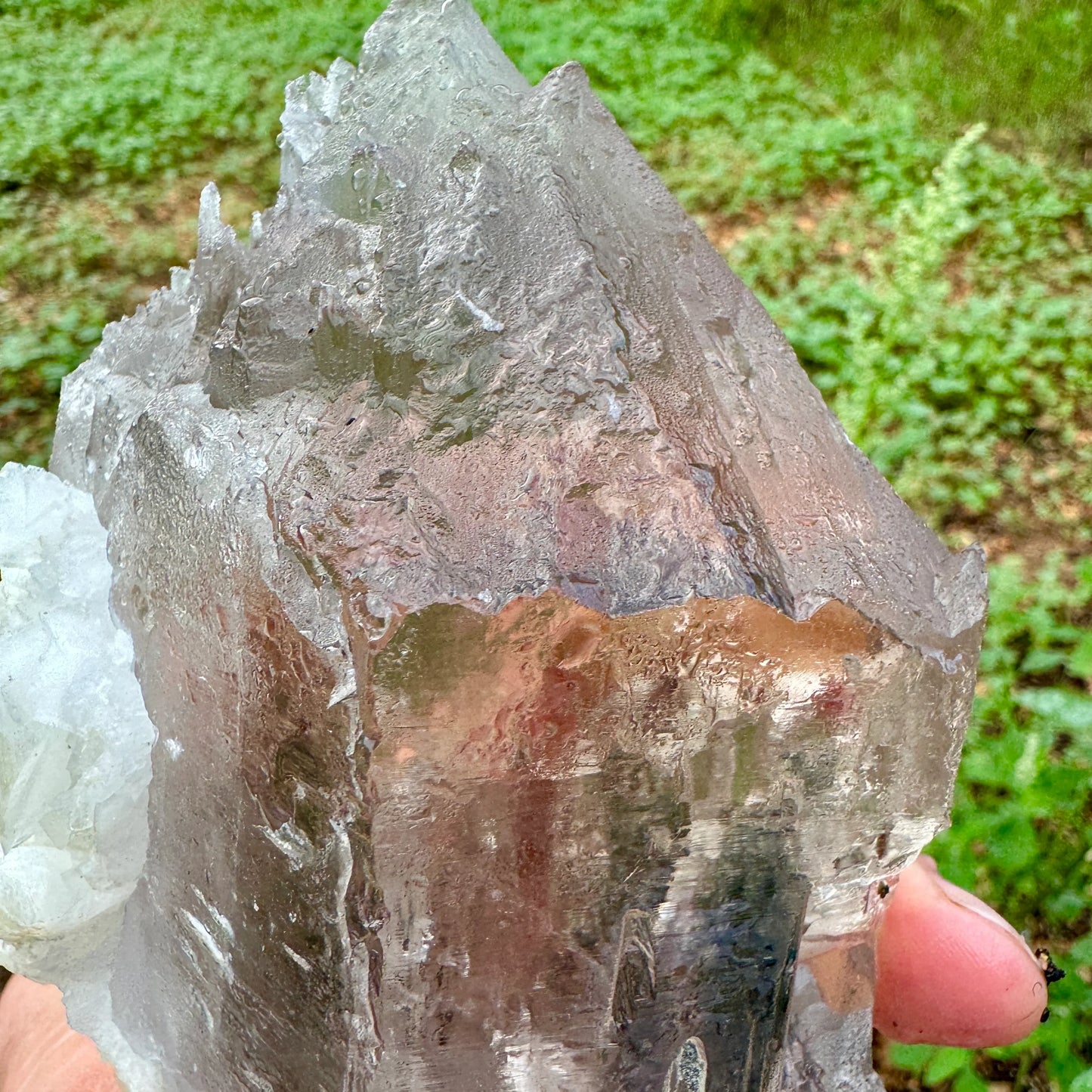 Cuarzo Himalaya con elbaita - MUNAY MINERALES MALLORCA