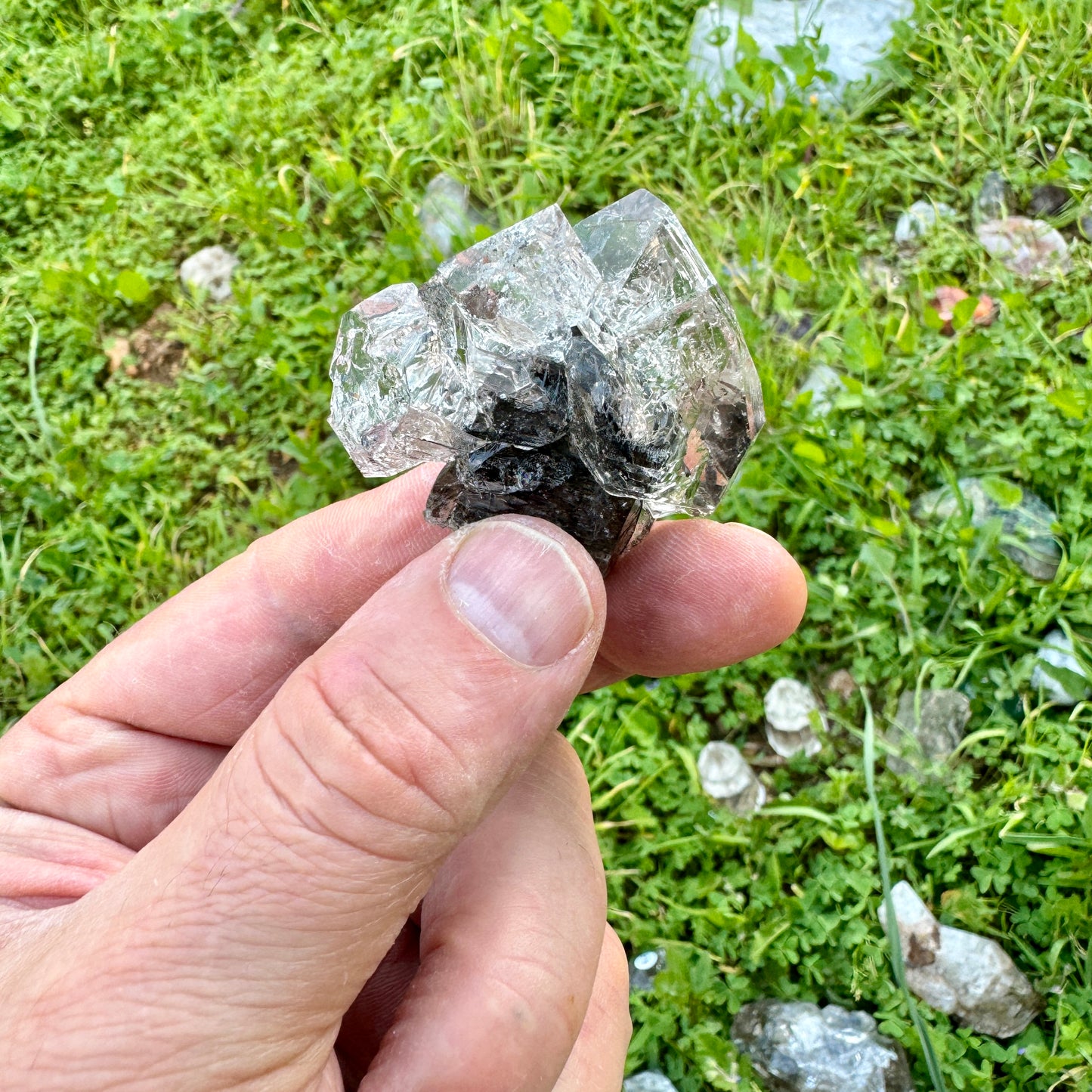 Herkimer Diamond Quartz Scepter