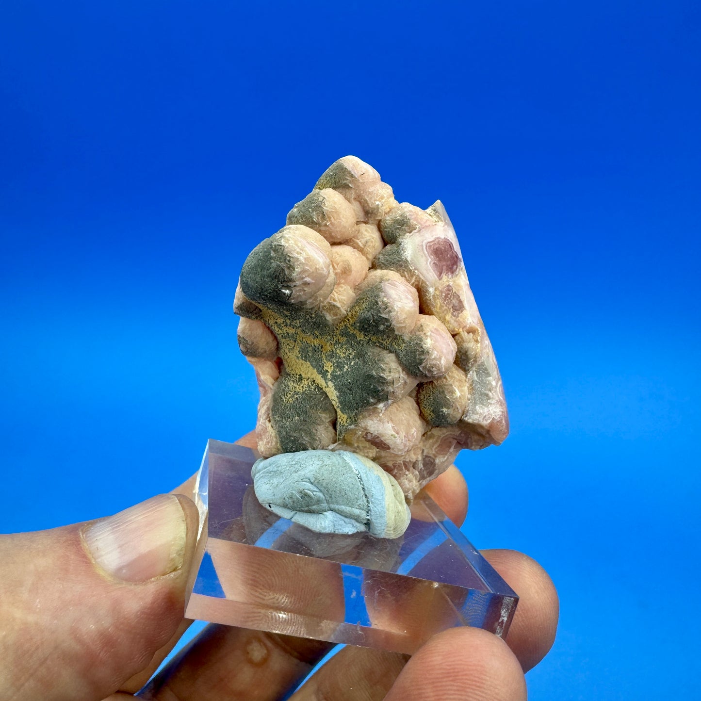 Argentine rhodochrosite