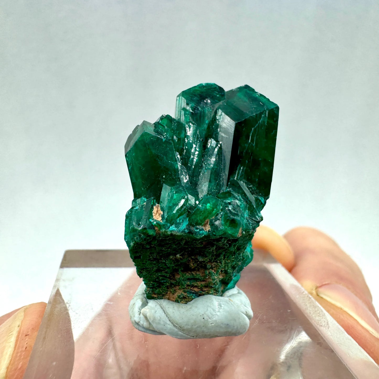 Dioptasa Munay Namibia África - MUNAY MINERALES MALLORCA