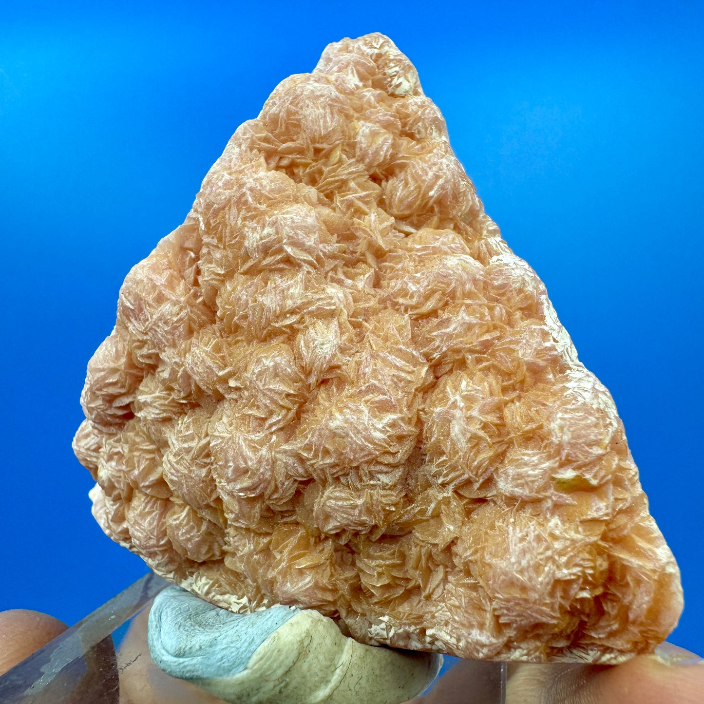 Argentine rhodochrosite