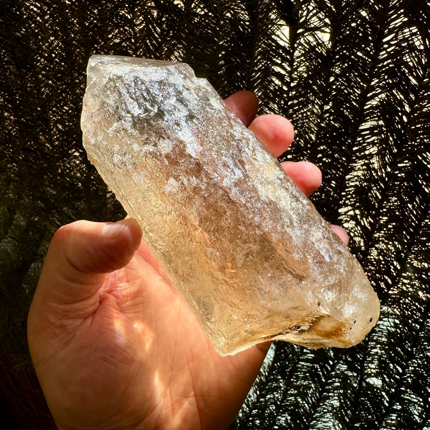 Natural citrine 984 gr. Munay Minerals Mallorca