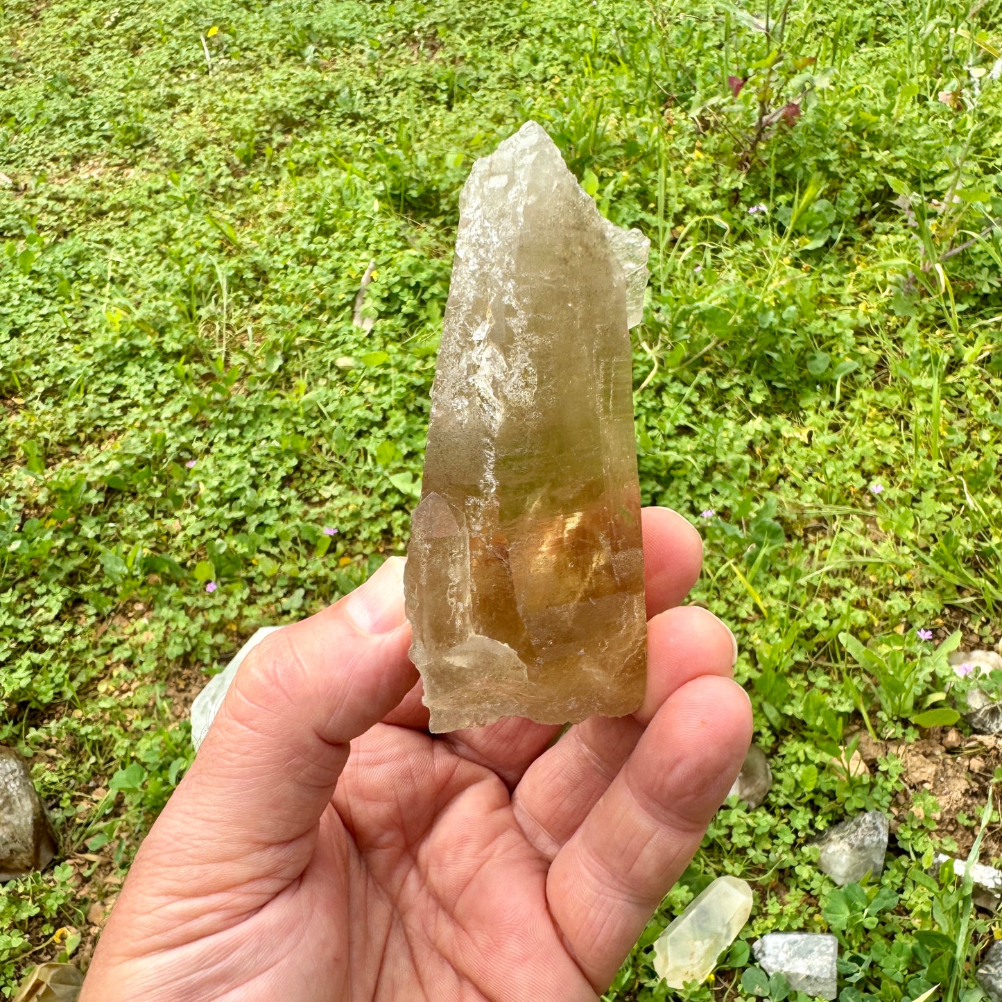 Self Healing Master Natural Citrine