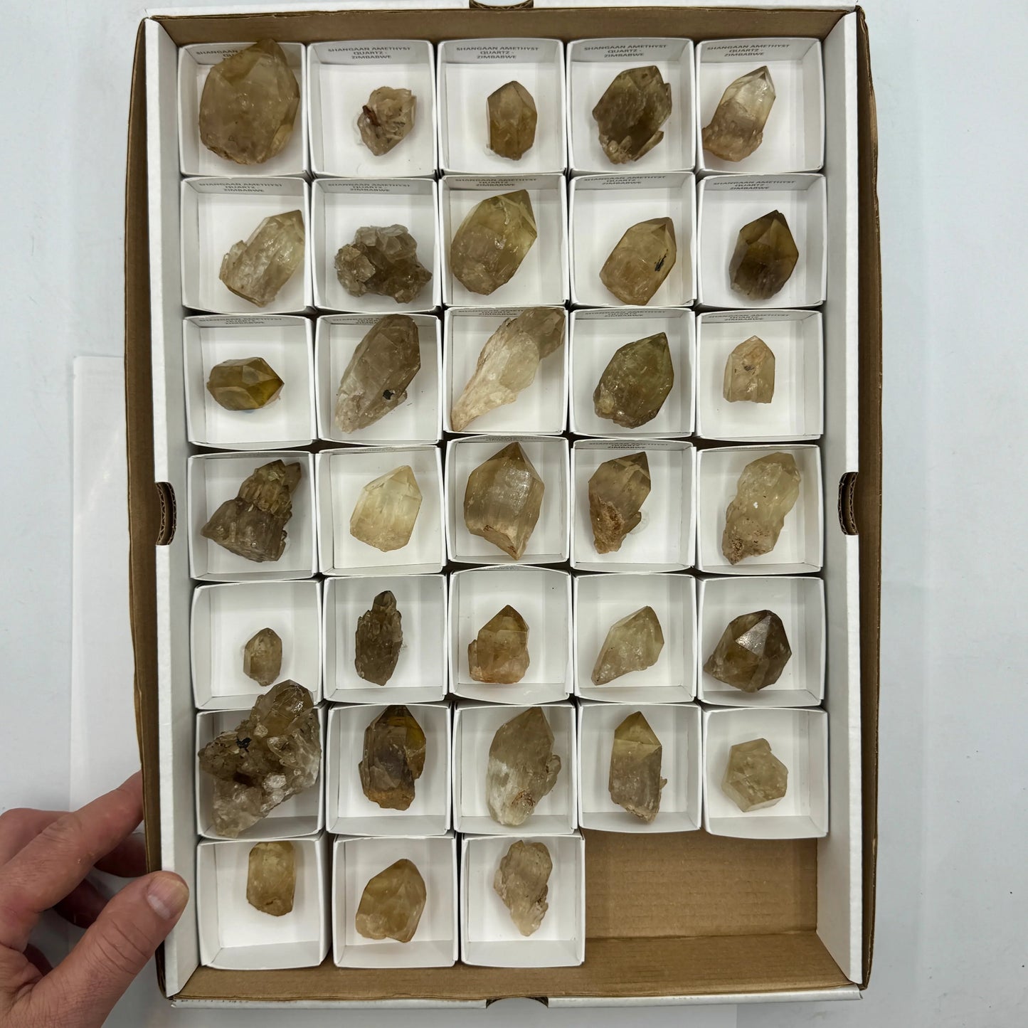 Citrino kundalini natural lote de 1,1 kg. 33 puntas - MUNAY MINERALES MALLORCA