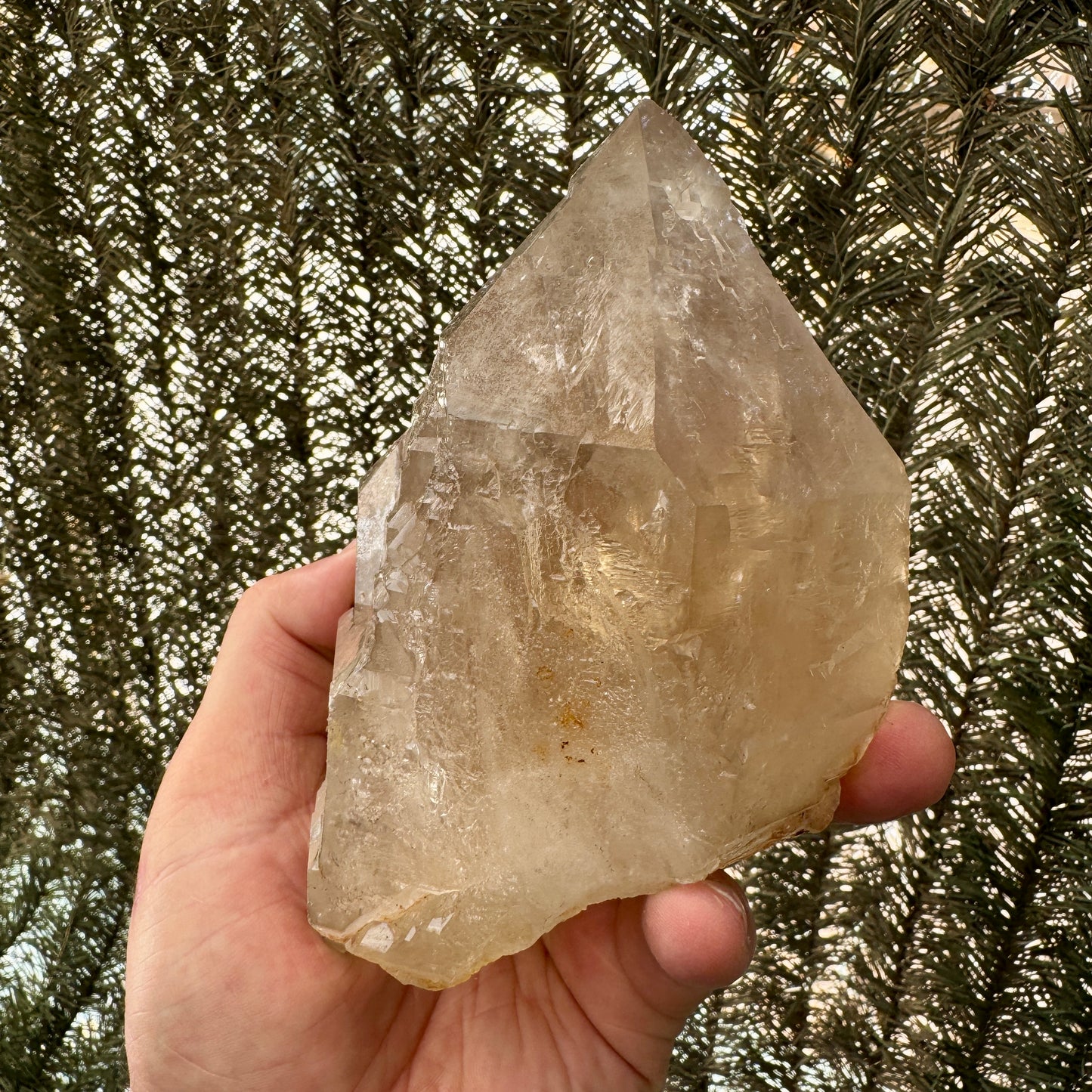 Citrino elestial natural 1,2 kg.