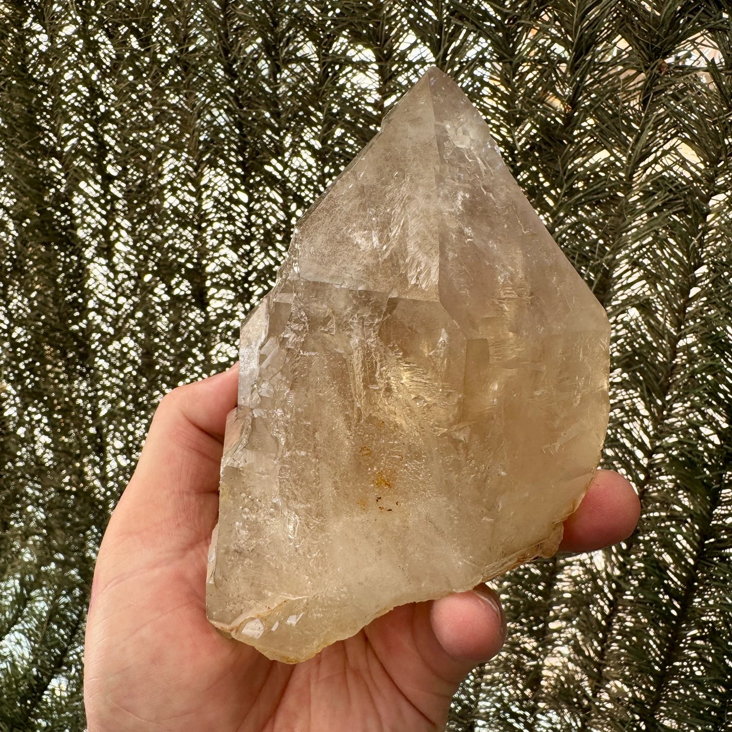 Citrino elestial natural 1,2 kg. - MUNAY MINERALES MALLORCA