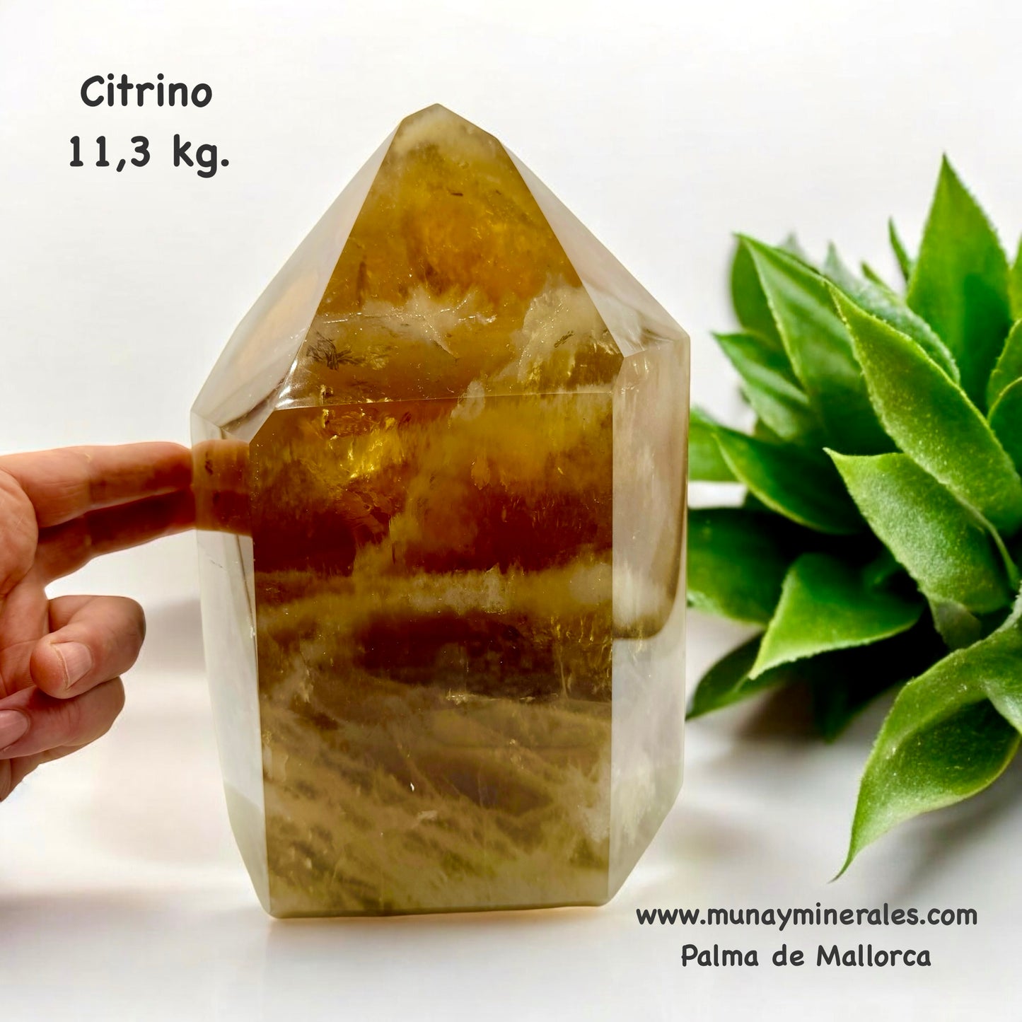 Citrino natural pulido 11,3 kg.