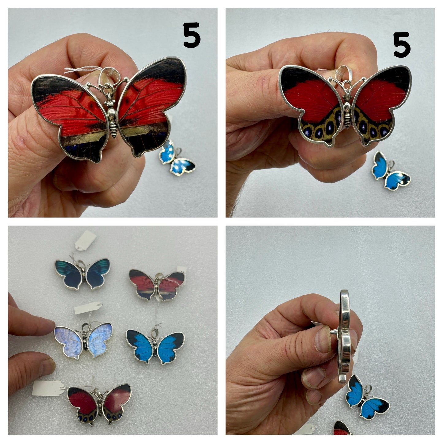 Escamas de mariposa real colgante en plata de ley
