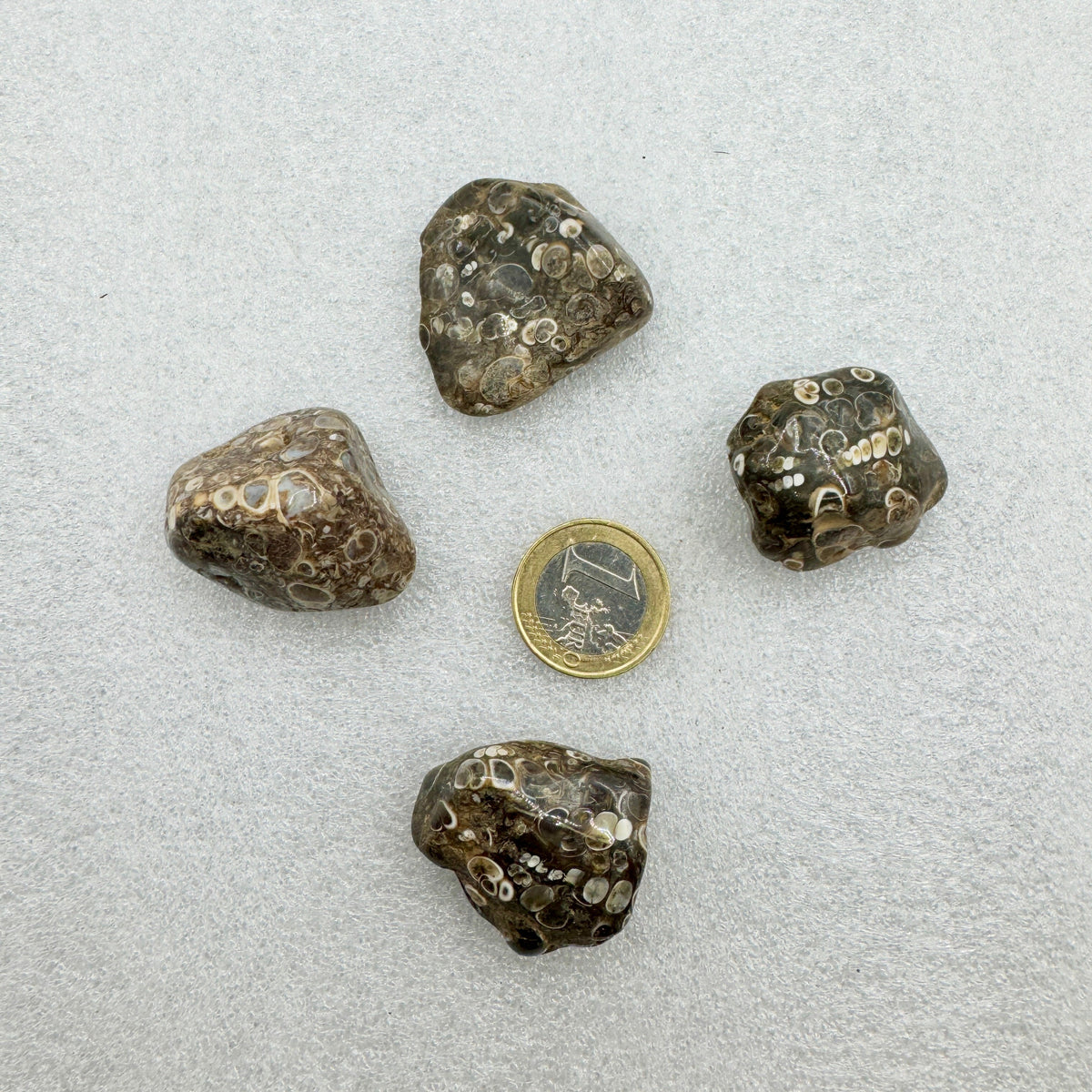 Jaspe turritella Munay Minerales Mallorca Munay Minerales Mallorca