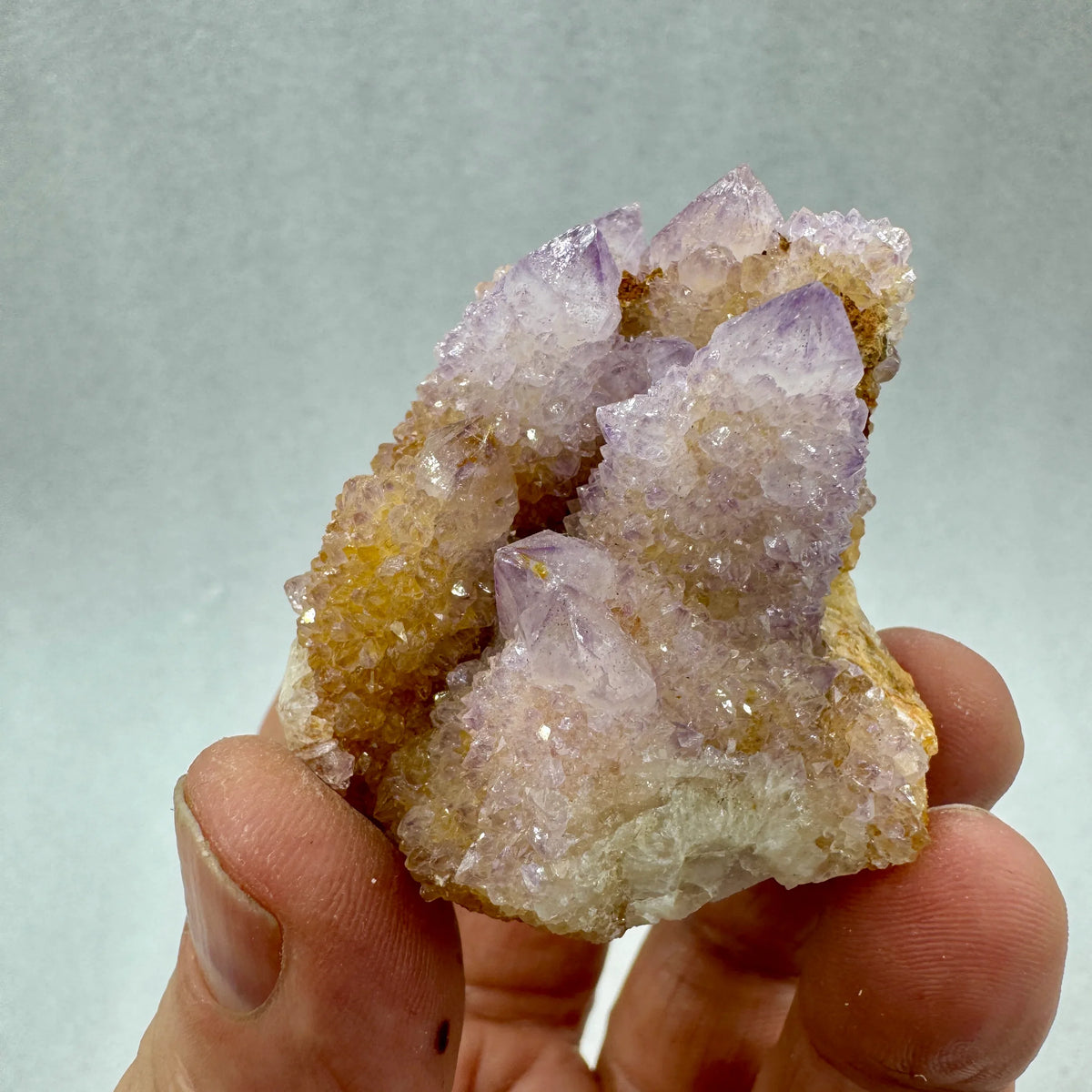Drusa de amatista cactus espíritu - MUNAY MINERALES MALLORCA