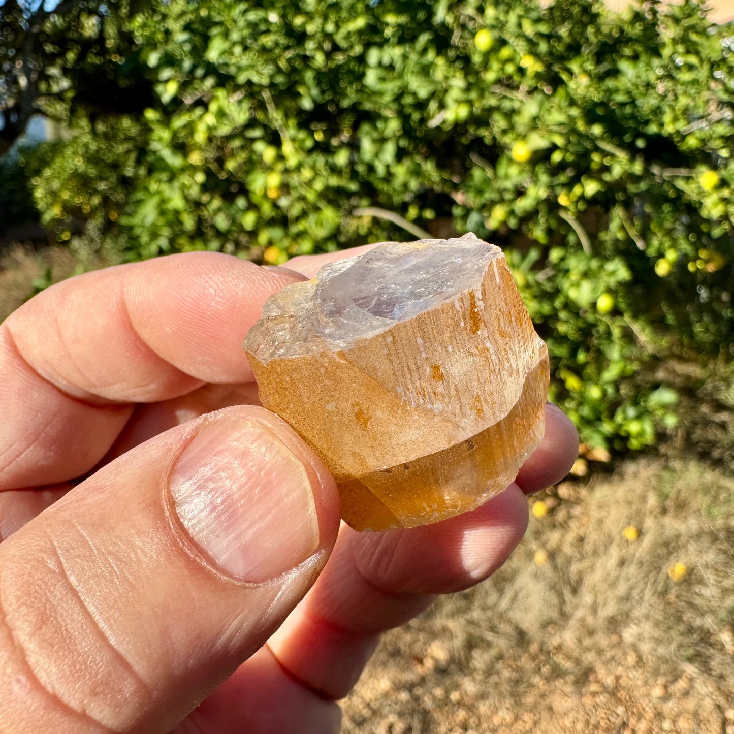 Berilo var. Goshenita - MUNAY MINERALES MALLORCA