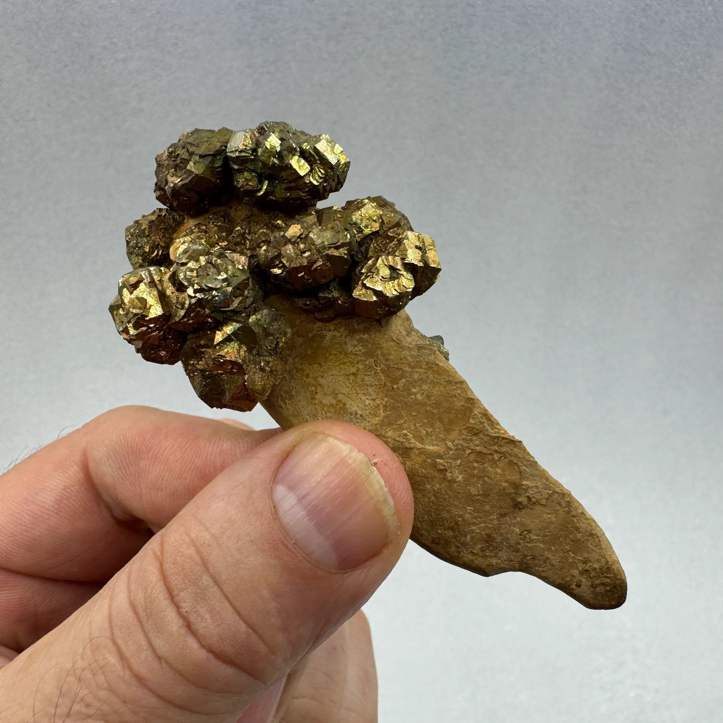 Pirita en grupo matriz Pakistán - MUNAY MINERALES MALLORCA