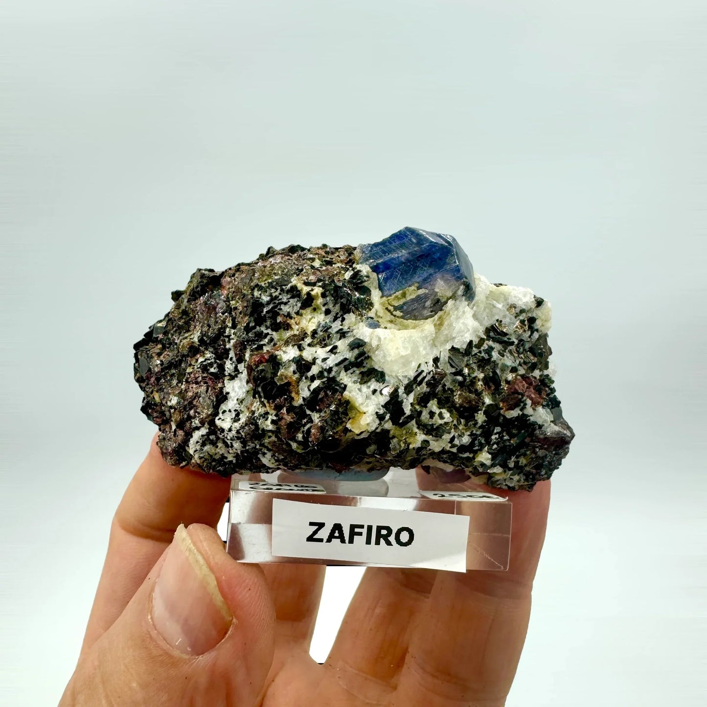 Zafiro azul en grupo de granates - MUNAY MINERALES MALLORCA