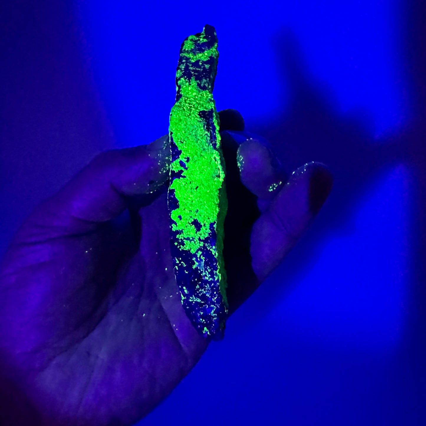 Autunita fluorescente de Portugal