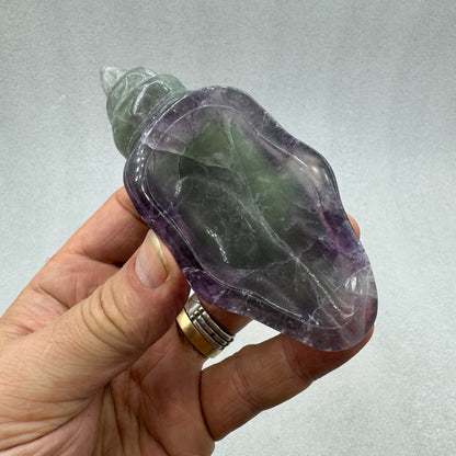 Caracola de fluorita