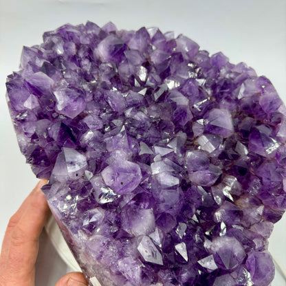 Drusa de amatista 11,1 kg. Munay Minerales Mallorca
