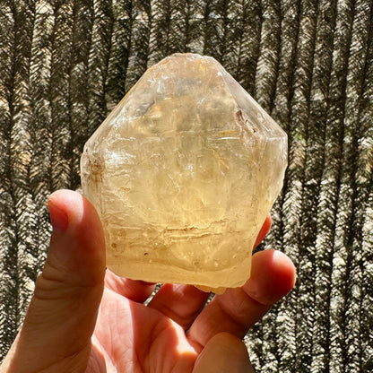 Elestial Citrine with Green Tourmaline