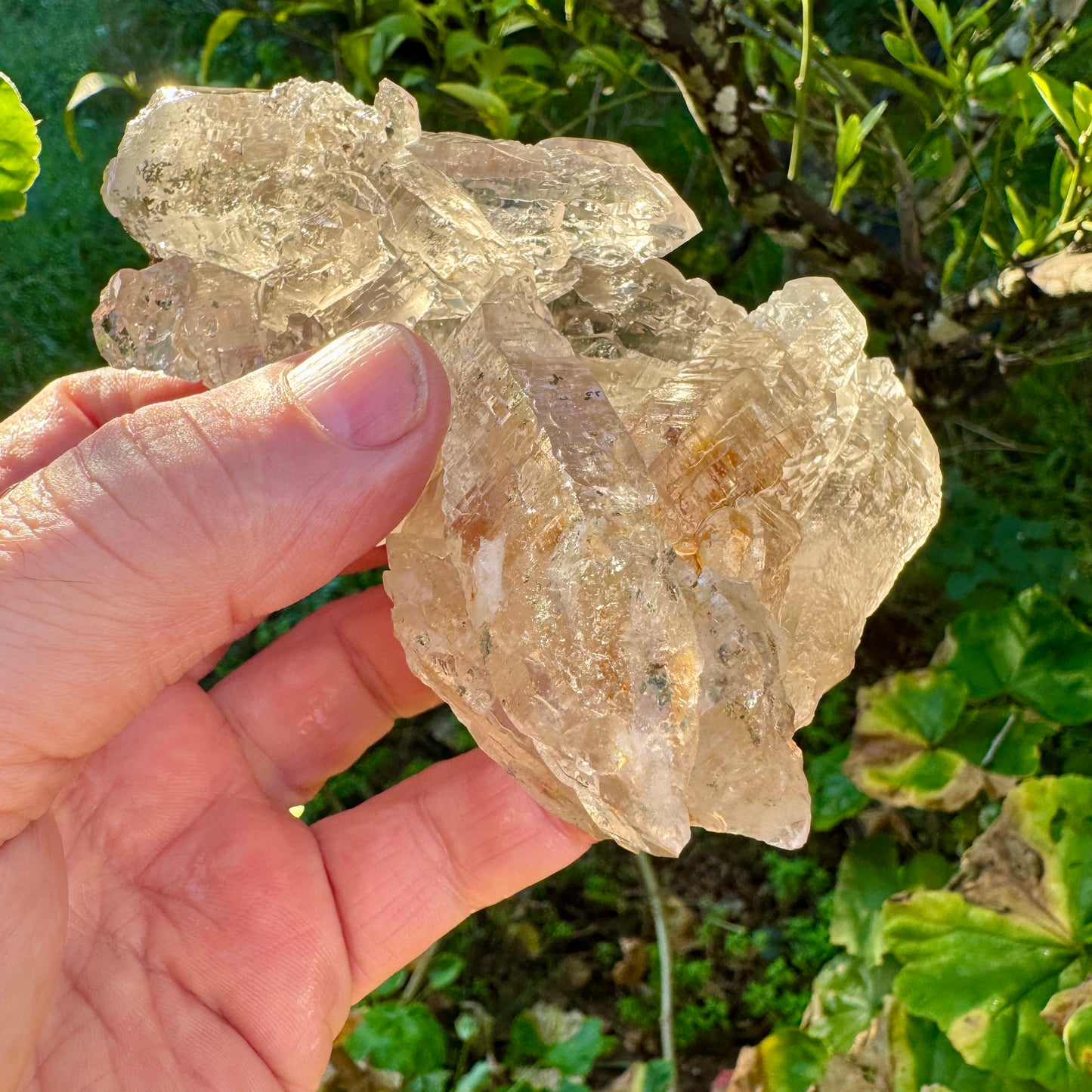 Cuarzo Himalaya Pakistán