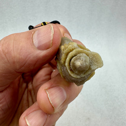 Ágata de Alashan desierto del Gobi