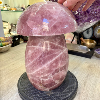 Cuarzo rosa 31,5 kg.  champiñón seta