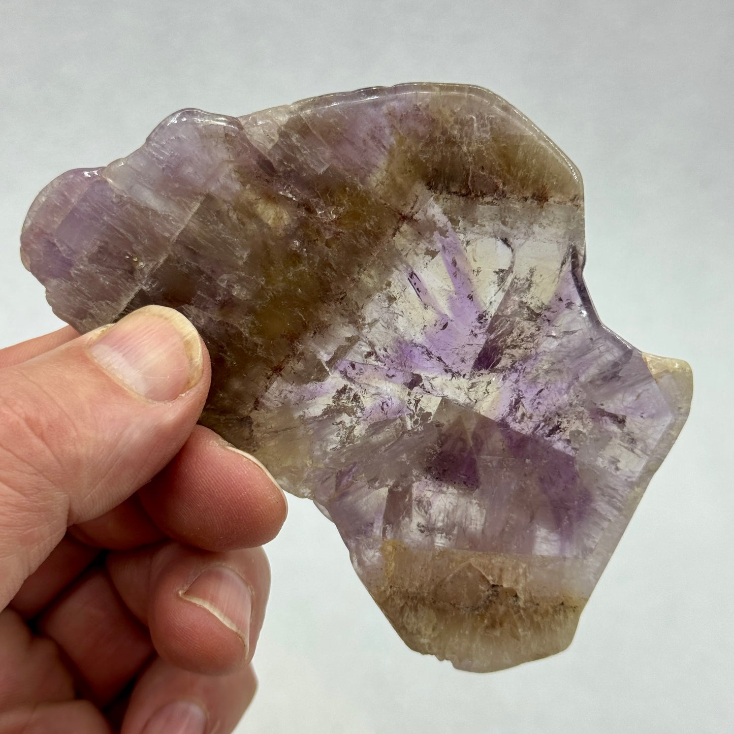 Auralita 23 rodaja pulida